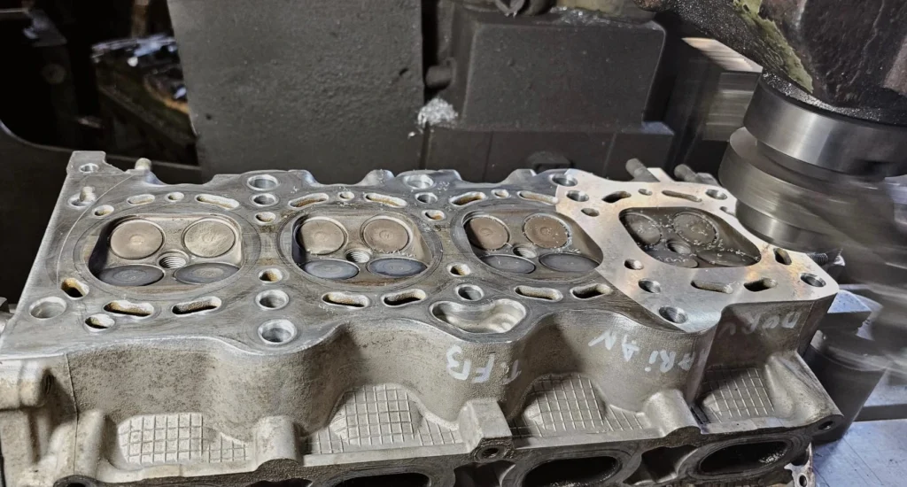 planare-chiuloasa-chiuloasa-in-curs-de-planare