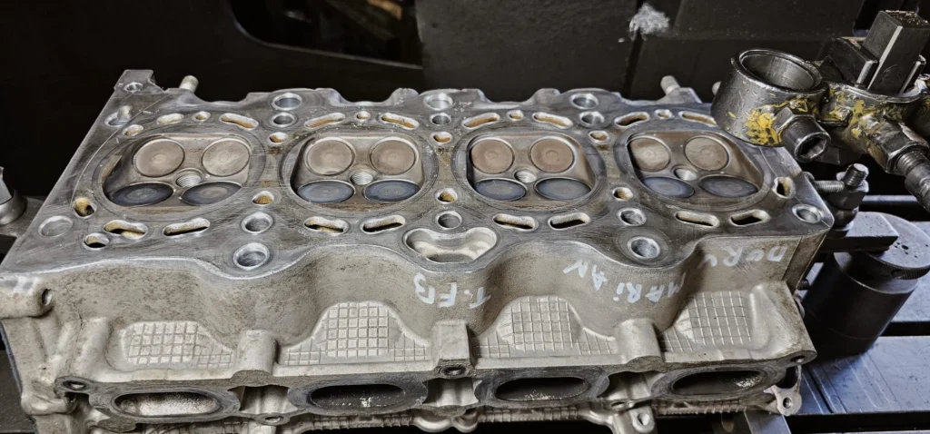 Planare-chiuloasa-chiuloasa-pregatita-de-planare